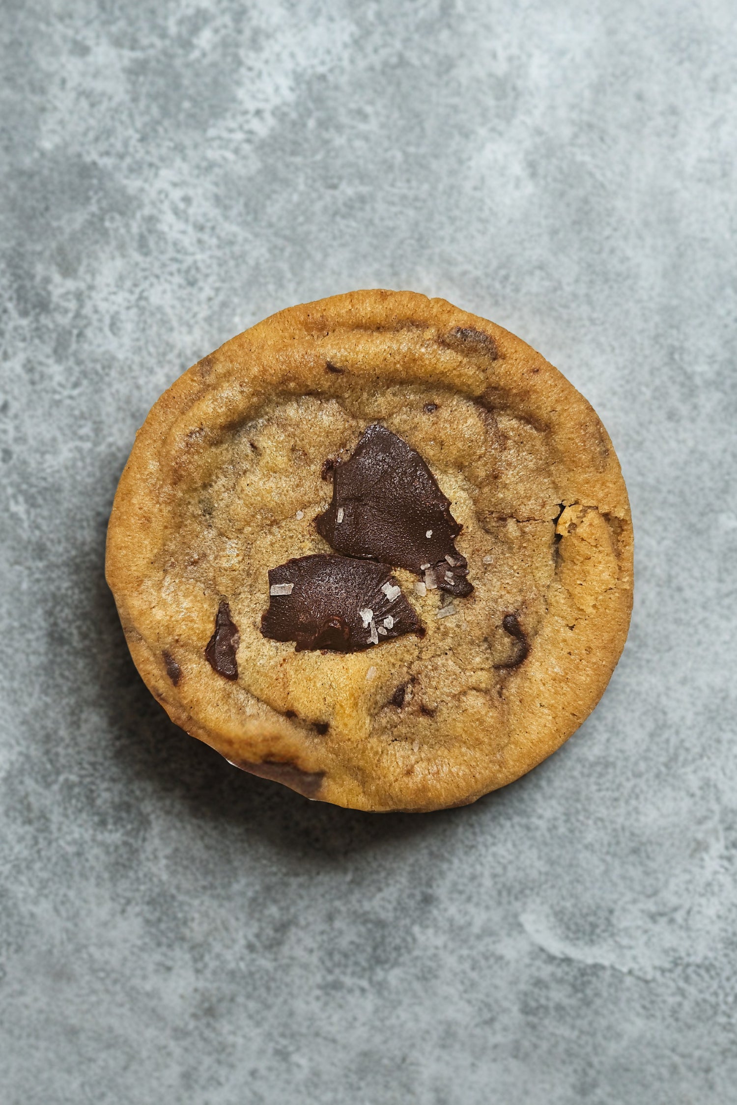 Sourdough Choco Chip